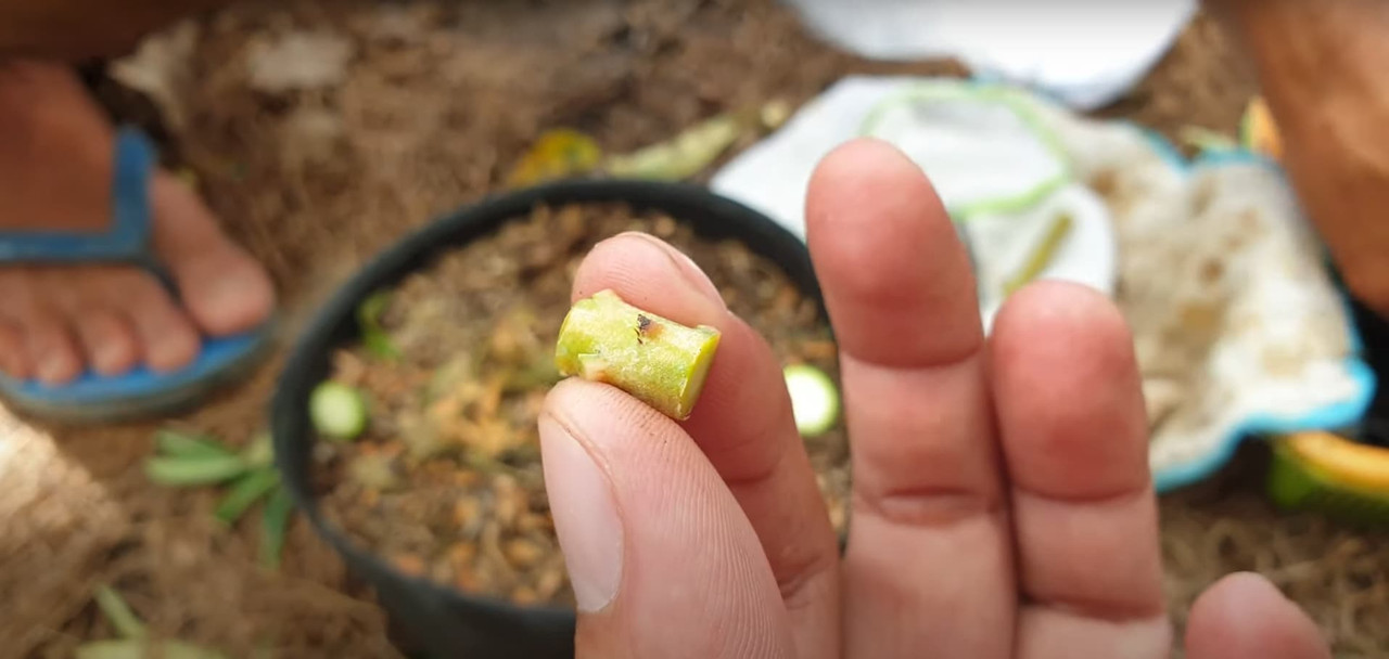 small-piece-of-adenium-graft.jpg
