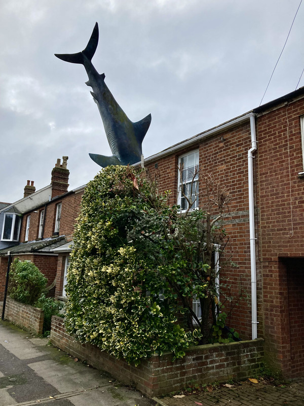 D7A8BCD1-D64F-43E9-880C-138C2538DCEB