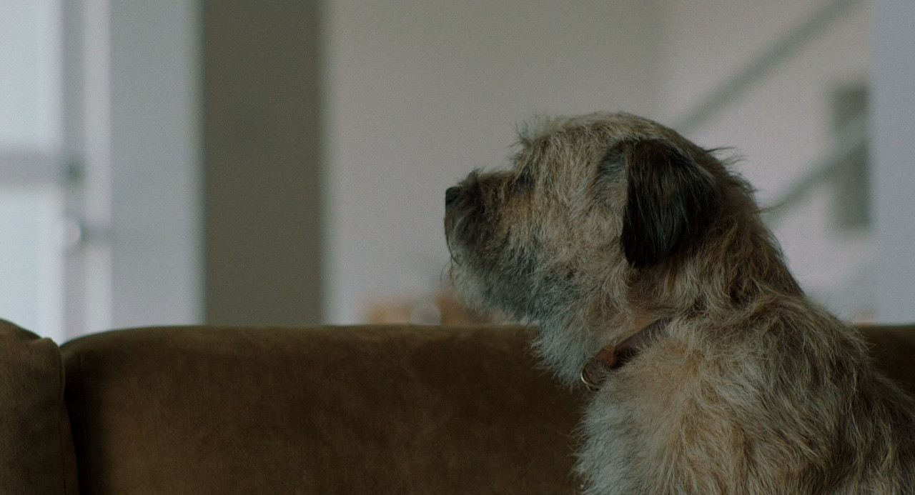 Ruby Sparks 2012 (1080p x265 10bit Tigole).mkv_s