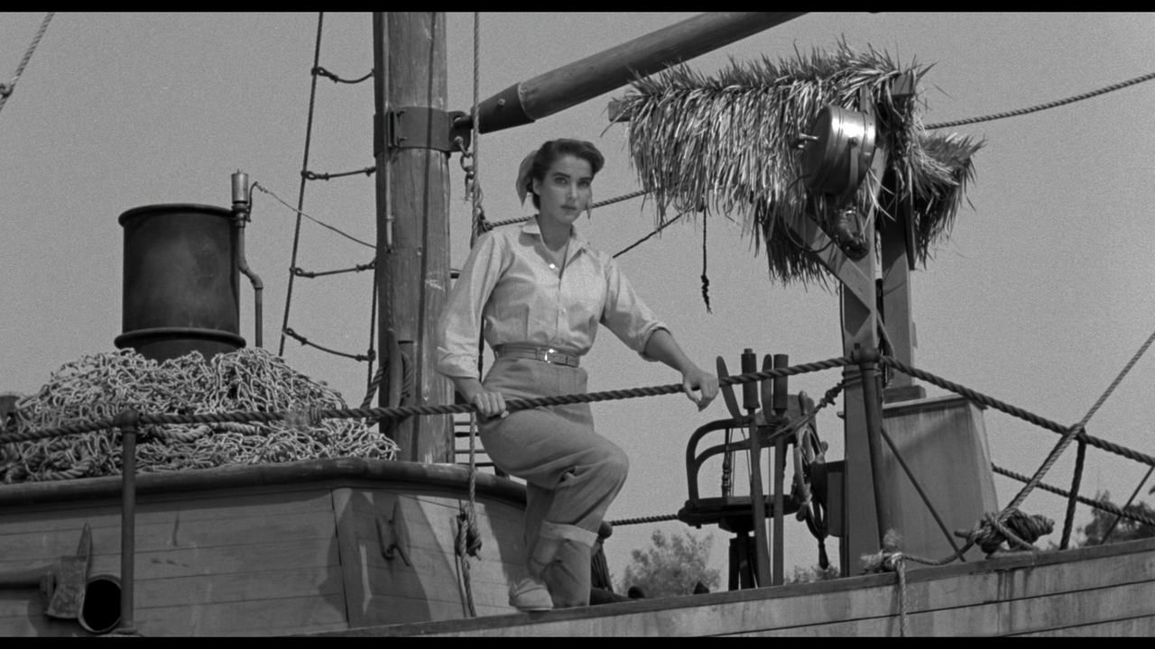 vlcsnap-2024-01-01-22h31m39s523