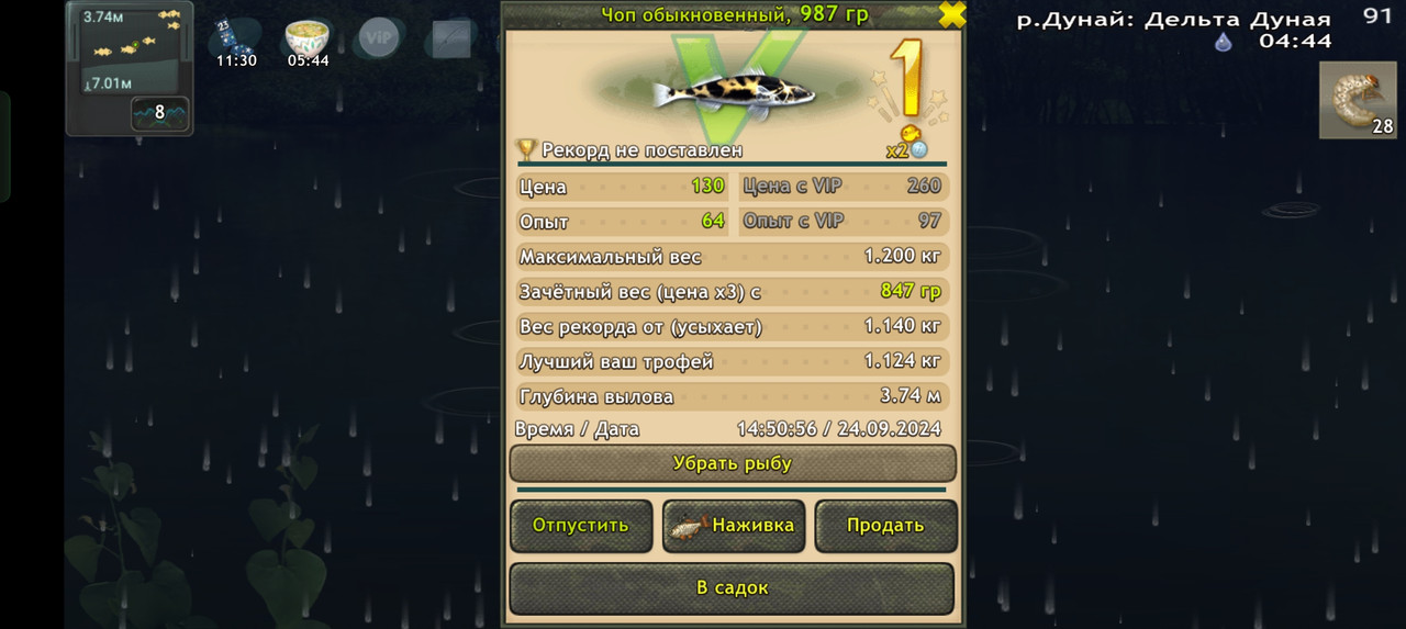 Screenshot-2024-09-24-14-51-04-34-fa28ee