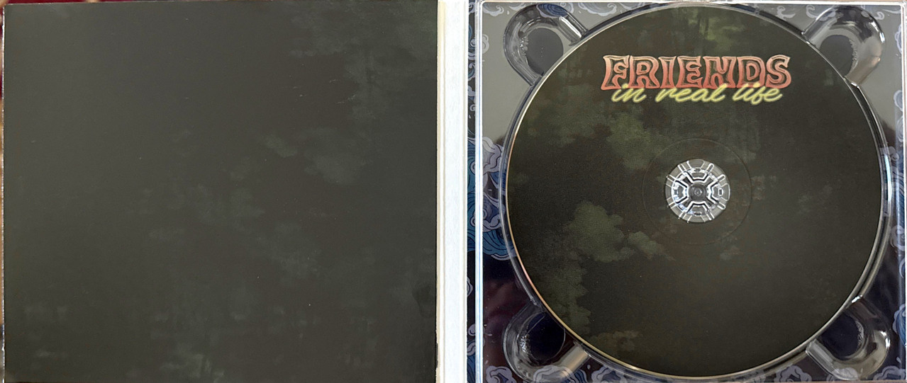 Friends In Real Life [Self-titled] by Friends In Real Life - Middle