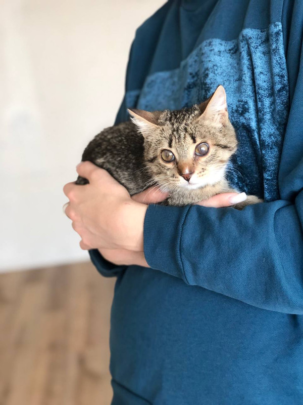 IMG_20240409_235144_012