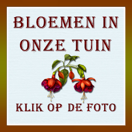 bloemen-in-onze-tuin