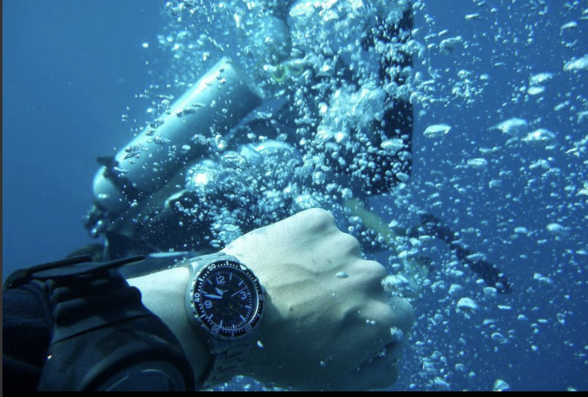 D635D129-3BE6-42E6-A190-085A254AE6C1