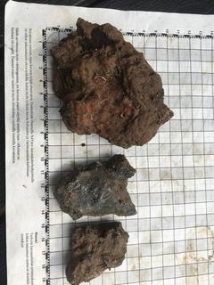 2716B21C-68F3-49AB-A470-E010F41906E3