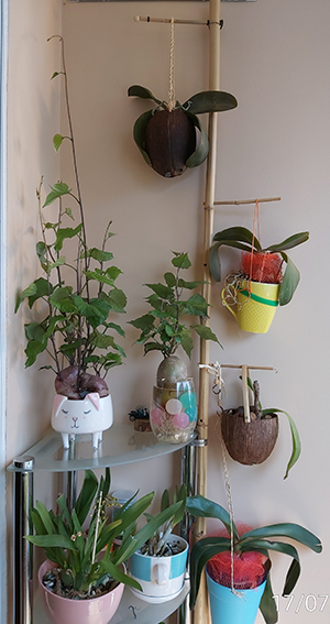 [Image: IMG-20200717-101651.jpg]