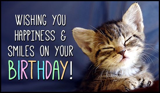 [Image: birthday-cat.jpg]