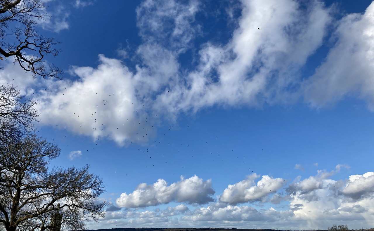 90EA1CD6-8B00-4F8A-A411-82A05E384C90