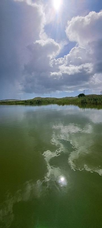 20250904-142621.jpg