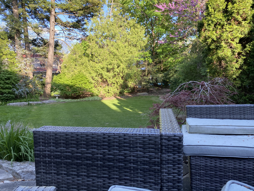 4C5CBF41-A95A-4F8B-B675-C3CE8A1A40A9