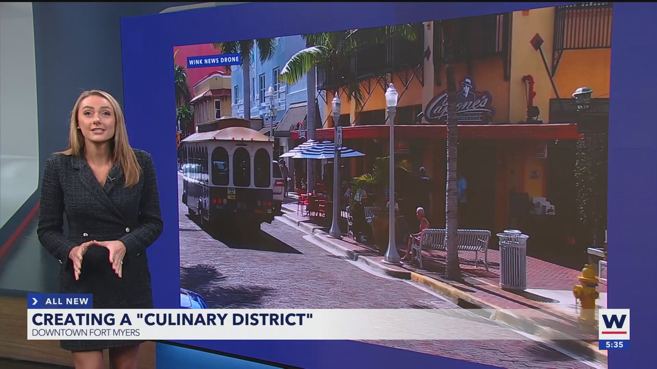WINK News at 530pm_20250402_22302300.ts_snapshot_06.27.954