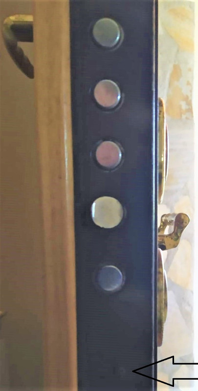 particolare del dorso porta