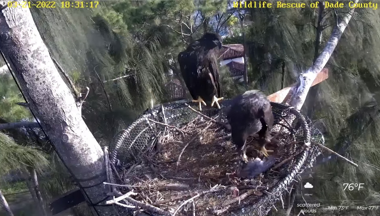 26B80BF1-2D5C-4D0D-A12F-F93A991936FA