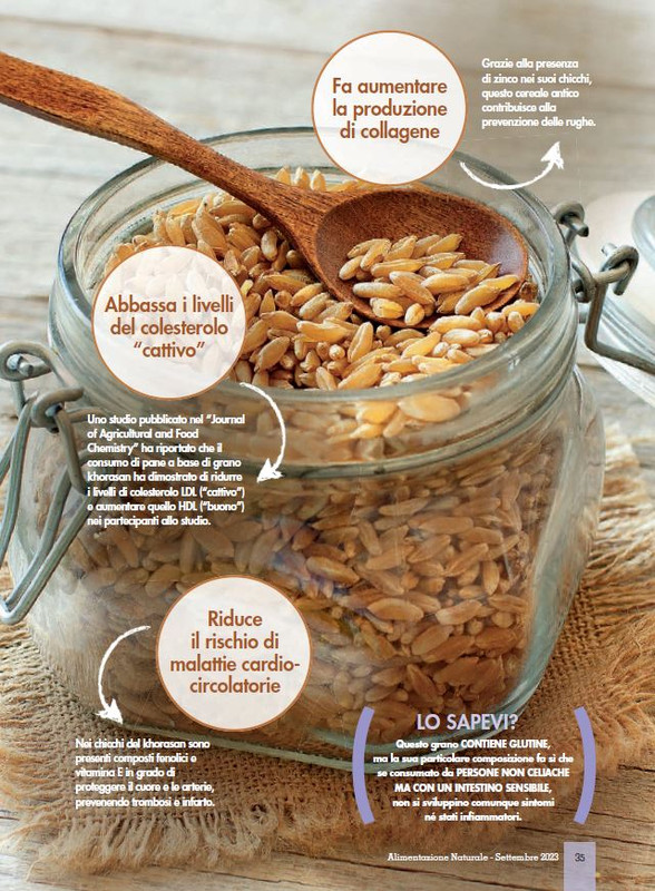 Alim Nat Set 2023 (8)