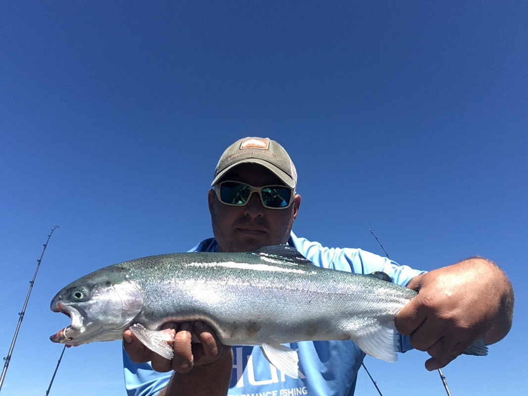 433374C9-F379-4D9E-9143-9605BB85749B