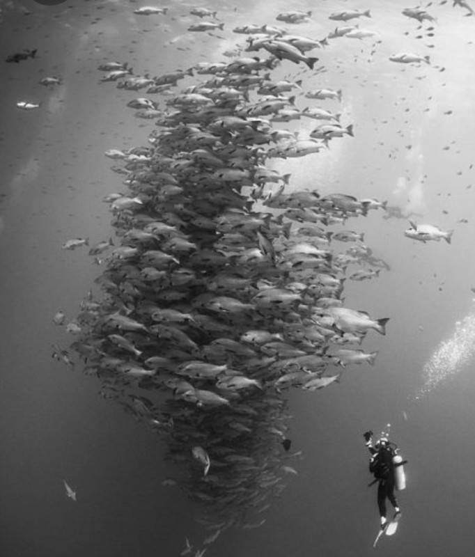 Screenshot_20230221_004331_Pinterest