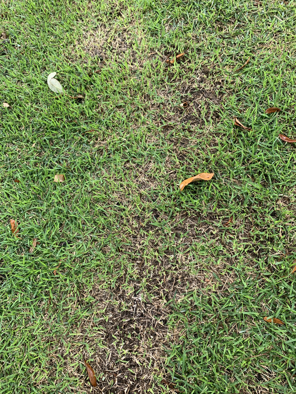 FA60094C-F3EF-44A0-9D67-E34F91226BC5