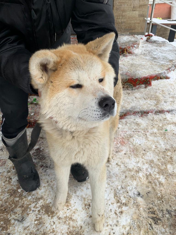 WhatsApp Image 2024-02-13 at 12.39.53 (1)