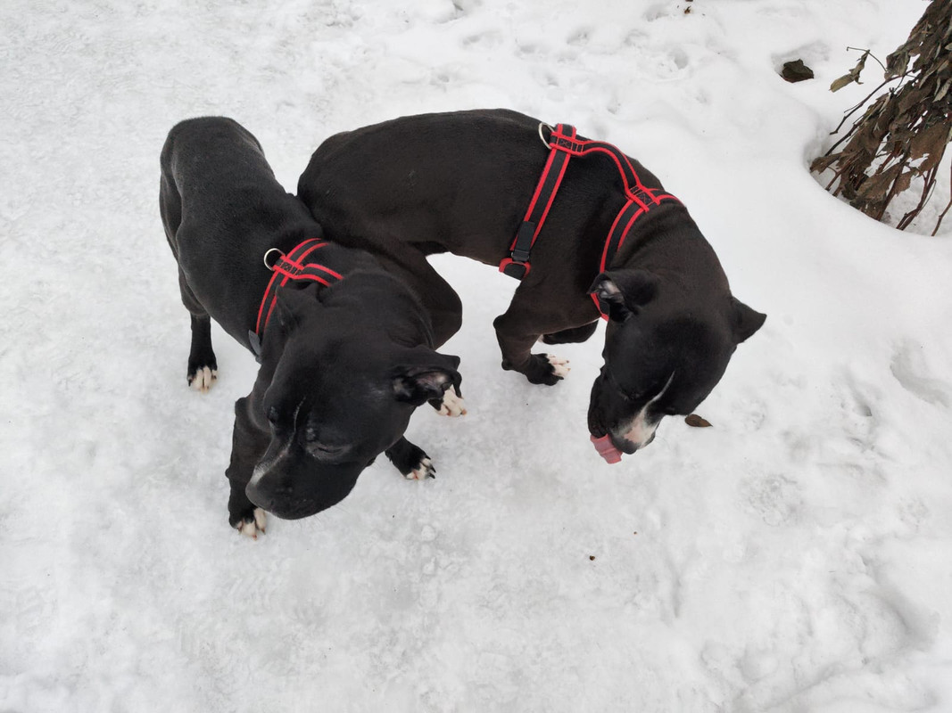 B3124CDE-7089-4E75-A46A-89C6102C8AC9