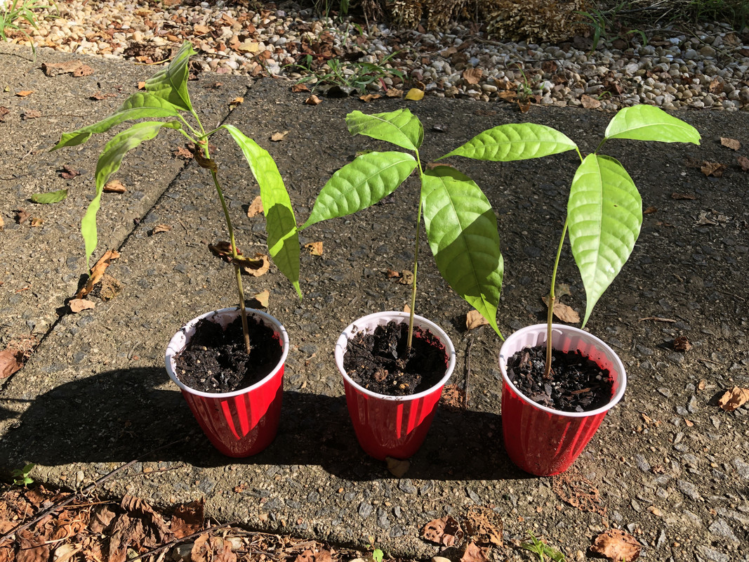 284B808B-6C8F-472C-A416-DA1E86F46E4E