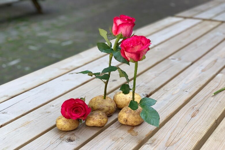 Красивые и оригинальные розы из картофеля идеи декора и флористики