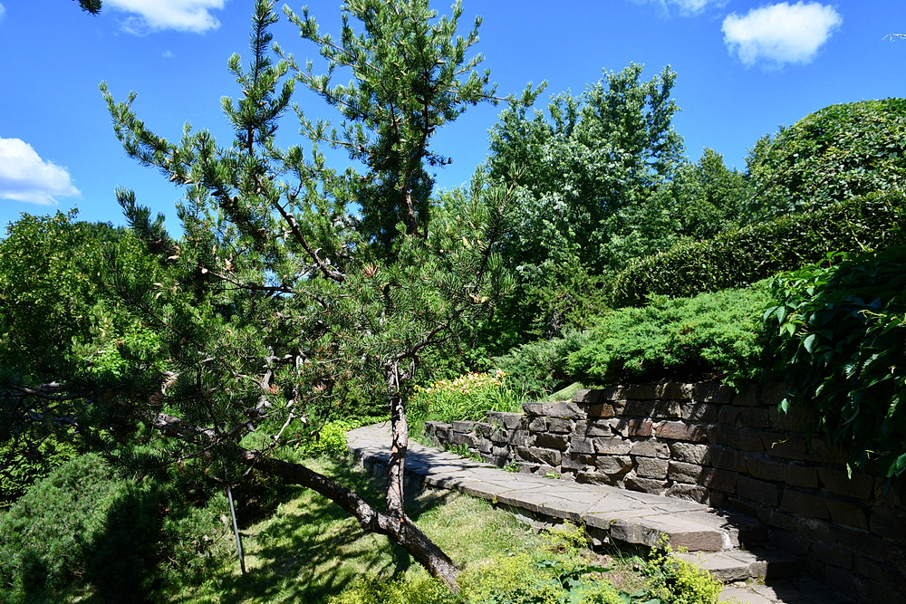 https://i.postimg.cc/02W6pgFm/7.jpg