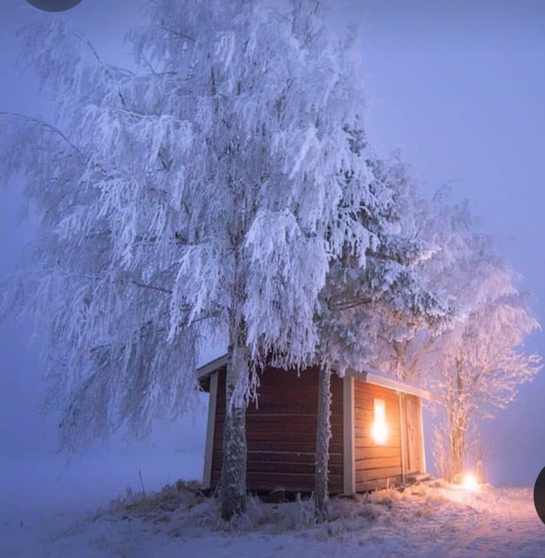 Screenshot_20240108_205922_Pinterest