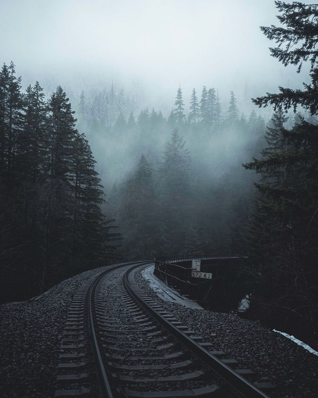 Darknature6