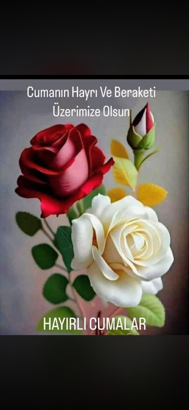 Whats App Image 2026 08 21 at 08 20 46