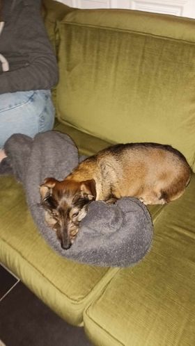 [Image: 404430853-1348302709161256-3298224569867482686-n.jpg]