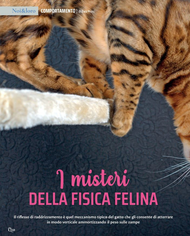 QuattroZampe Lug 2021 (7)