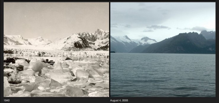 18 фото, на которых видны последствия глобального потепления в природе