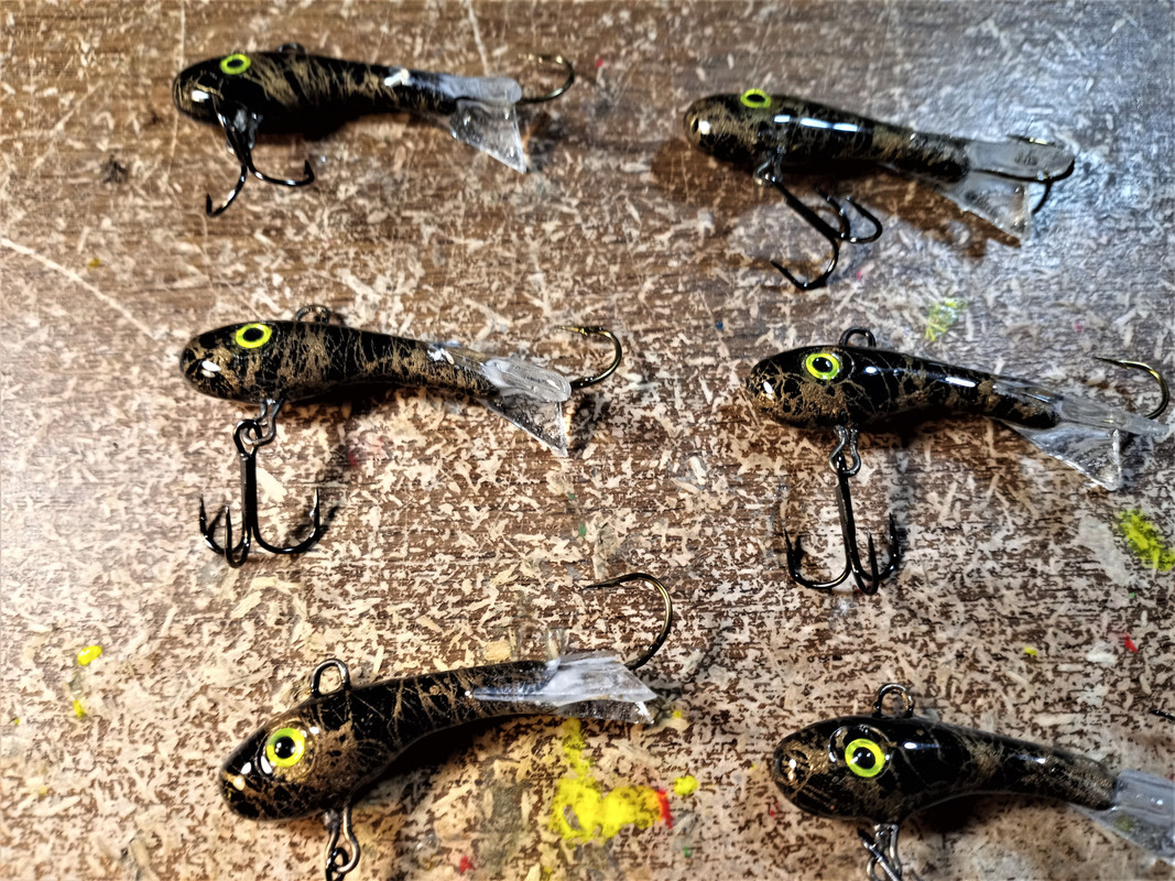 darkbrowngoby