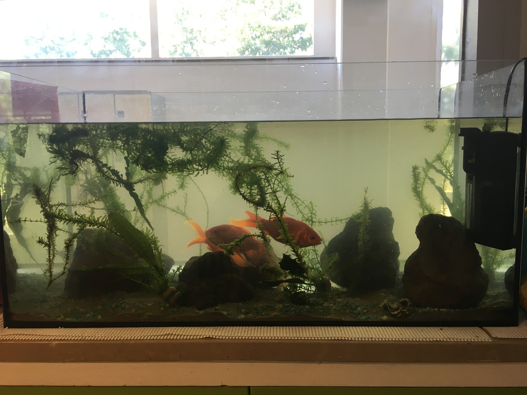 D1971875-F48E-4DA6-9943-988EB7F89B2B