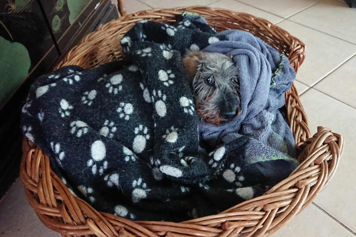 [Image: DSC-3276.jpg]