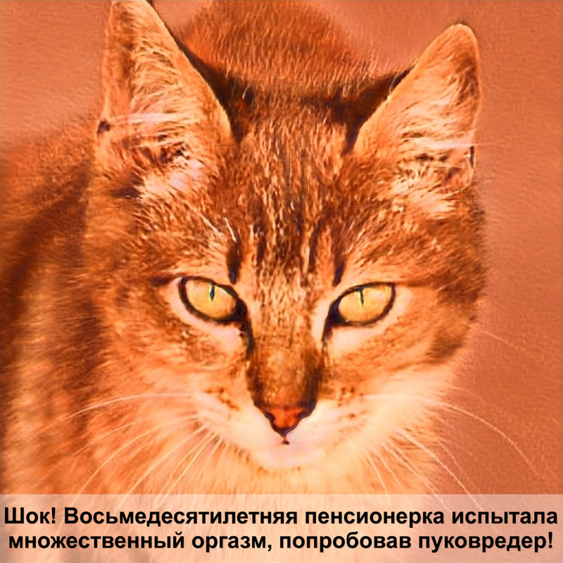 кошка шерсть клоками