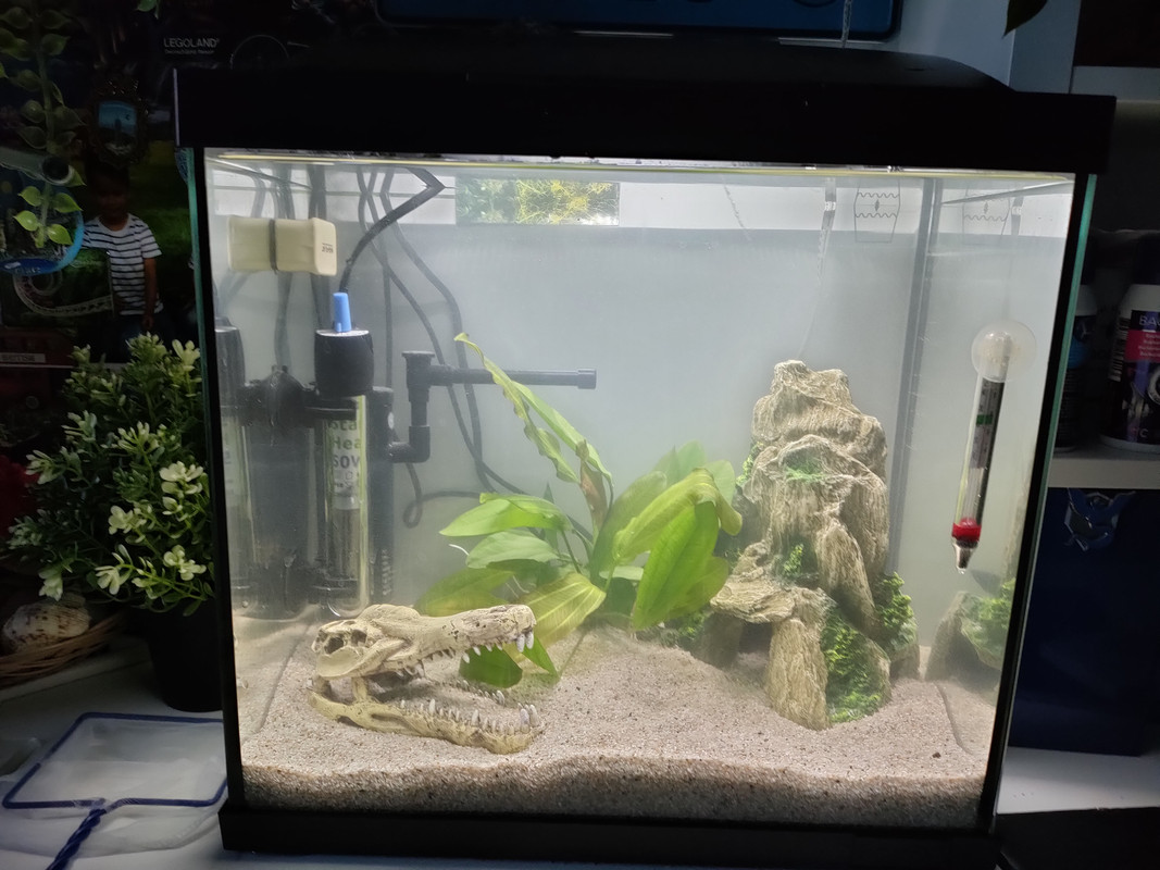 16712038302492987616860037044225