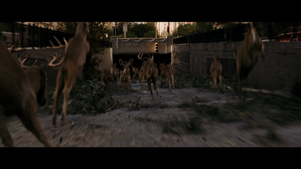 I.Am.Legend.2007.Theatrical.2160p.UHD.BDRemux.DTS-HD.MA.5.1.HYBRID.DoVi-DVT.mkv_000447.228