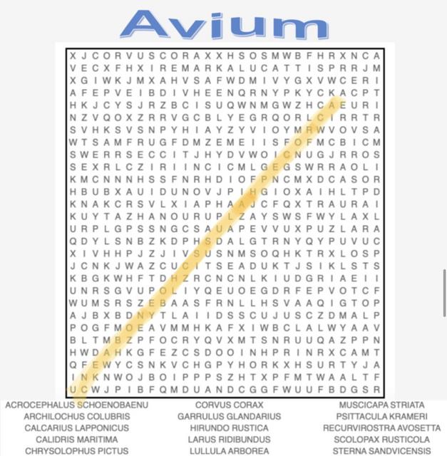 698D924D-36CC-454B-9F14-F984A52A7DA7