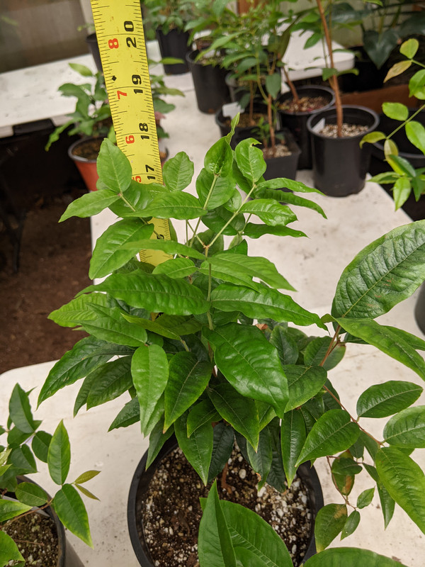 PXL_20230617_185052611