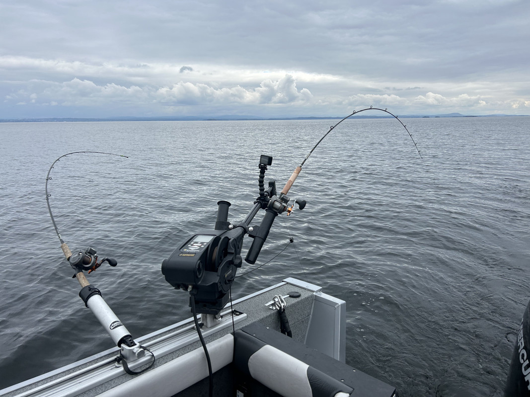 060FAD99-7E20-4F91-B83F-15A9C988FE08