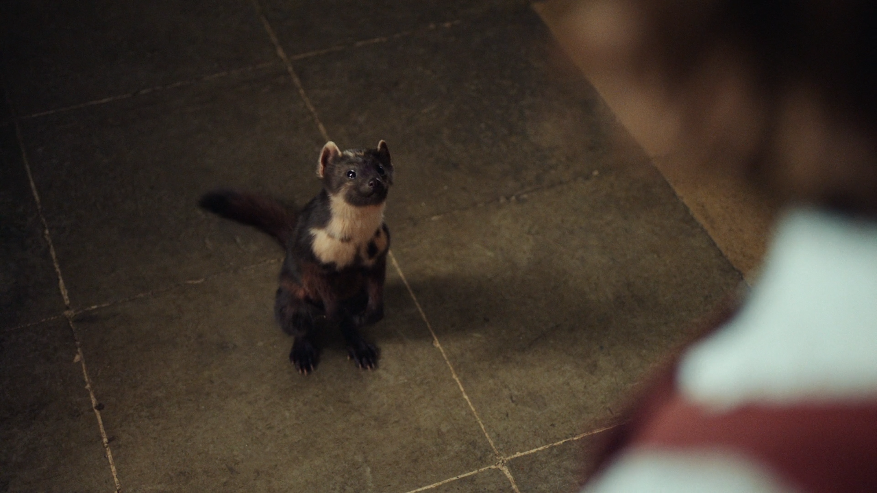 His.Dark.Materials.S01E01.1080p.AMZN.WEB-DL.DDP5.1.H.264-NTb.mkv