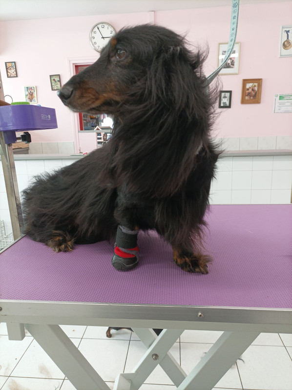 [Image: IMG-20230920-202302.jpg]