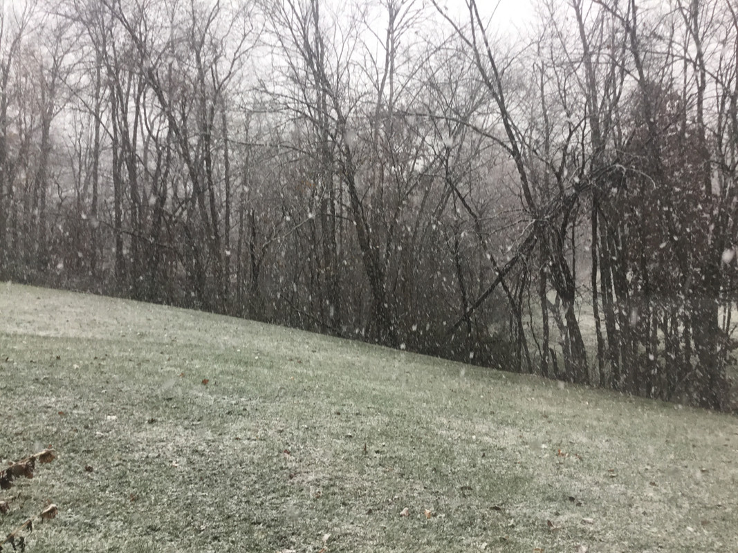 D480B6B7-CB53-4A26-BC16-3B90C2F0F59E