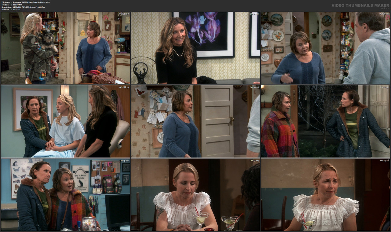 Roseanne S10E04 Eggs Over, Not Easy.mkv