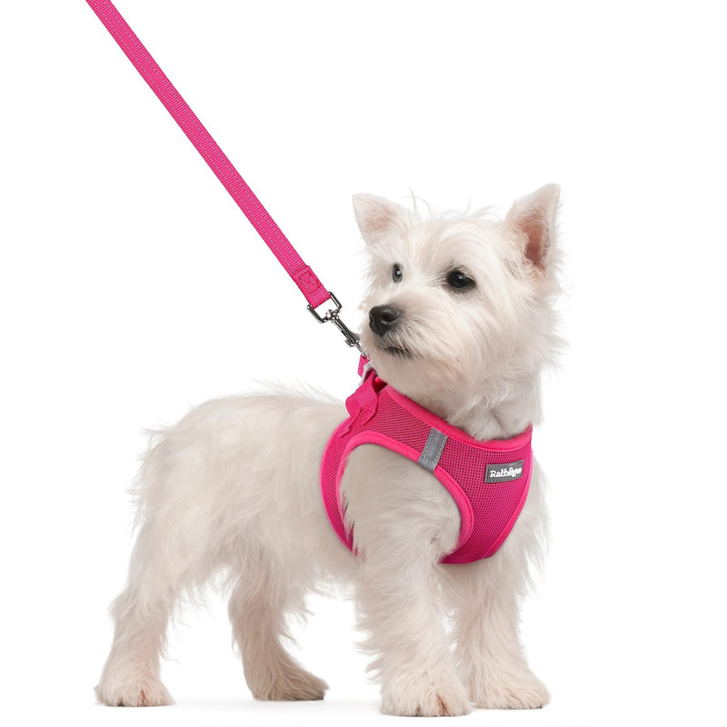 rabbitgoo Small Dog Harness and Leash Set Rose Red