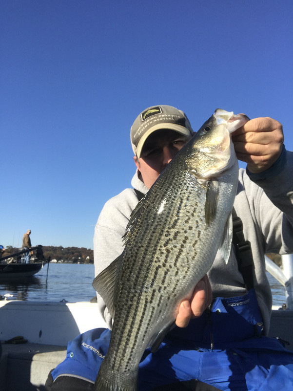 AB83150F-E02A-433A-9C7F-4B4E5D89F9EC