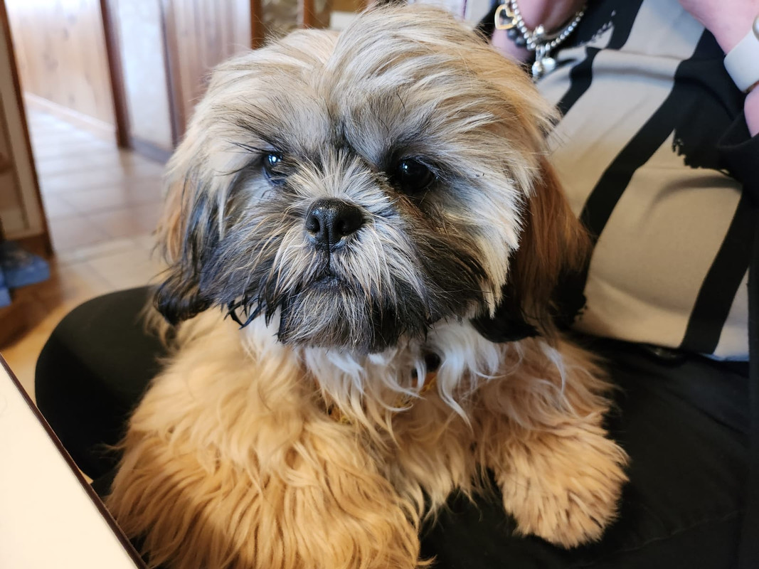 [Image: IMG-20240120-WA0006.jpg]