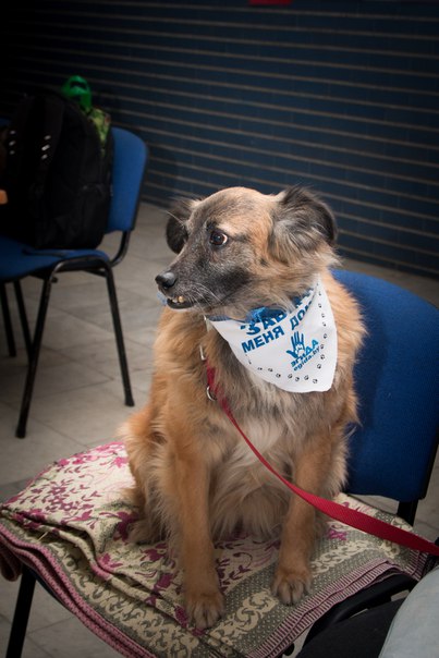 35339F8F-9A0B-4388-8658-D8F4A9320280